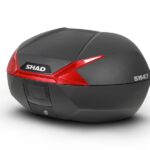 a_shad10744.jpg