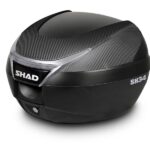 a_shad7480.jpg